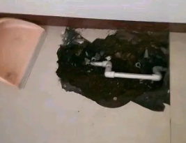 涿州市卫生间测漏水多少钱